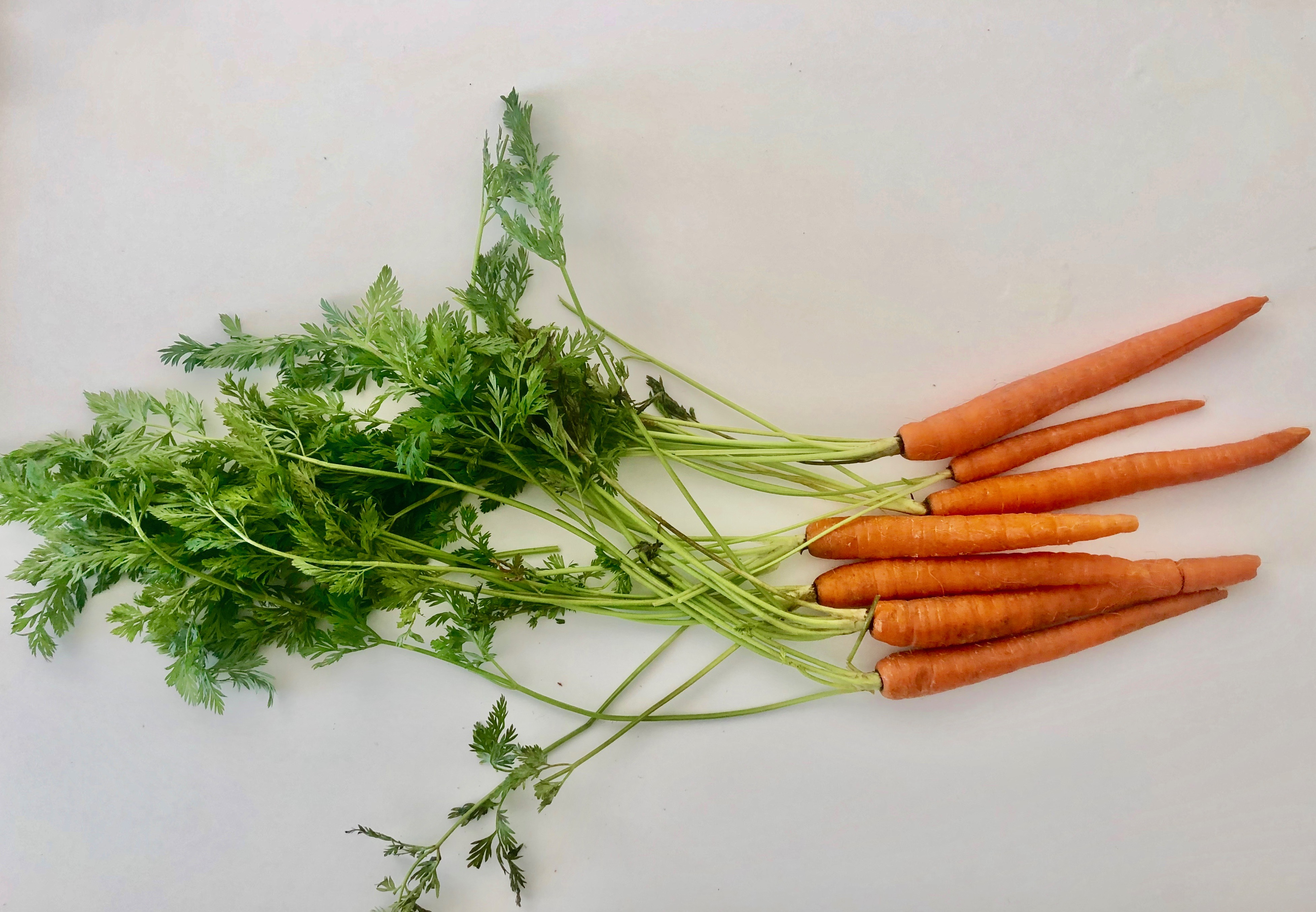 Carrots