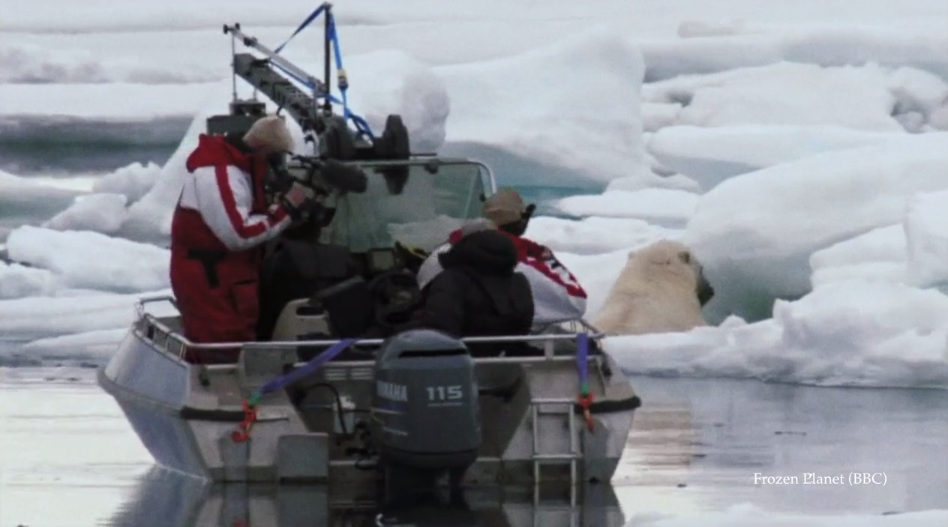 Frozen Planet (BBC)