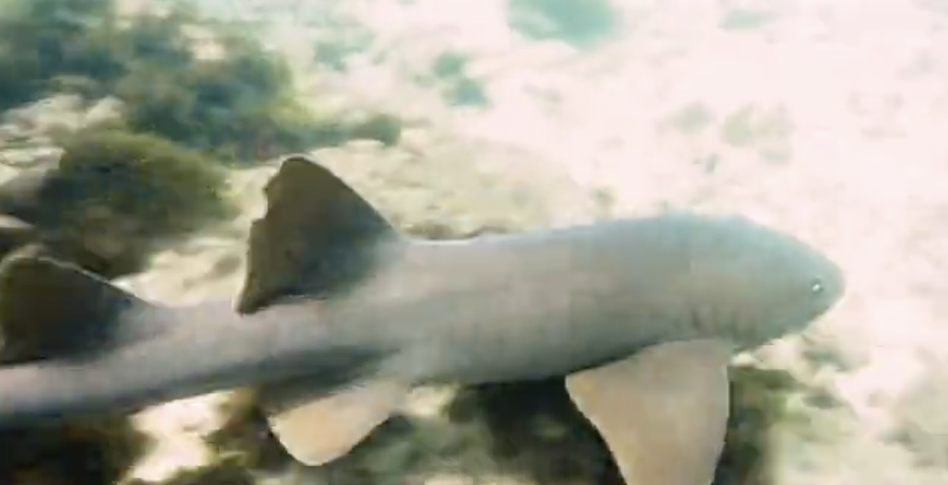 Reuben E Reynoso Reuben E Reynoso